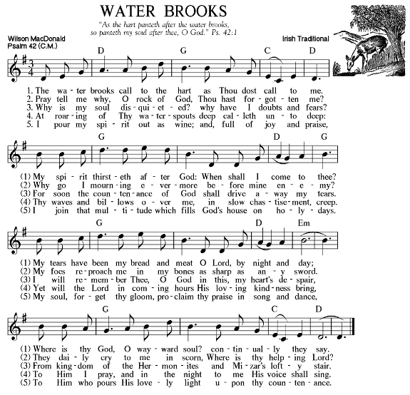 Water Brooks